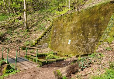 Tour Wandern Lemberg - Lemberg - cascade des Ondines - sentiers des grottes et des étangs - Photo