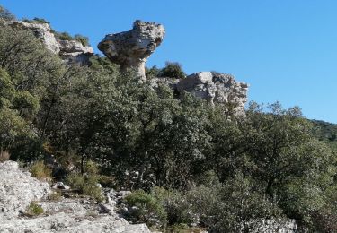 Tocht Stappen Le Beaucet - fontaine du rupt - Photo