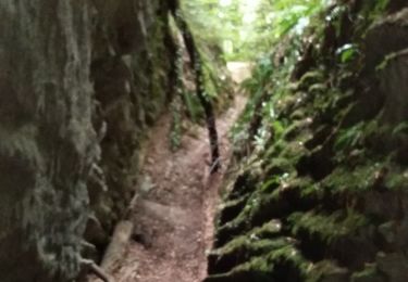 Randonnée Marche Chapeiry - Failles de Saint Sylvestre  - Photo