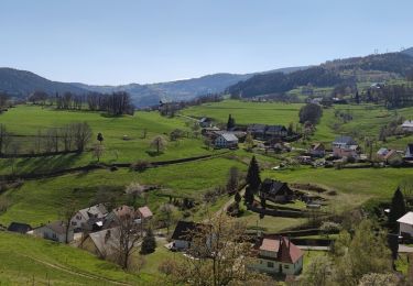 Tour Mountainbike Urbach bei Kaysersberg - Fréland - Col du Wettstein - Photo