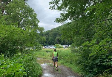 Trail Walking Vresse-sur-Semois - Alle-Frahan-Poupehan en terug - Photo