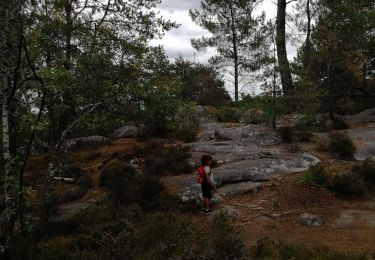 Excursión Senderismo Fontainebleau - brigands Charlie  - Photo