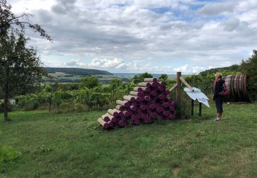 Trail Walking Rouvroy - La Charmouthienne_boucle_Torgny_16km_2019-09-08 - Photo