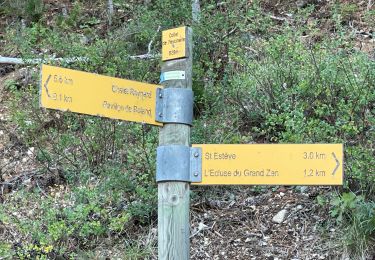 Trail Walking Bédoin - Le Mont Ventoux depuis Bédoin  - Photo