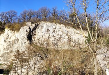 Percorso Marcia Comblain-au-Pont - Promenade vers le site naturel des tartines  - Photo