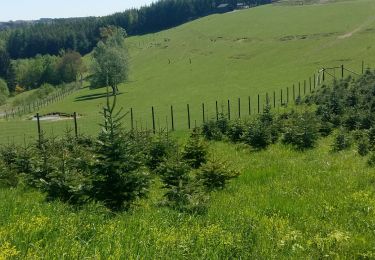 Trail Walking Bouillon - Rochehaut - Frahan - Poupehan - les échelles - Rochehaut  - Photo