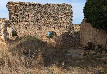 Tour Wandern Cabrières - Le Serre de Perret  - Photo