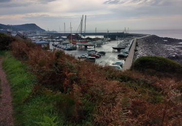 Trail Walking Tréauville - saint vaast la Hougue  - Photo