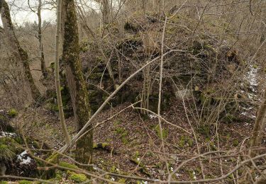 Tour Zu Fuß Deißlingen - SAV rotes Plus Maienbühl-Oberrotenstein - Photo