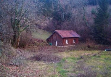 Trail Walking Ornans - Foucherans - Photo