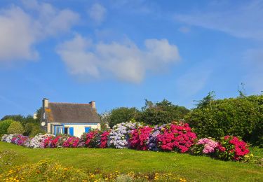 Tour Wandern Roscanvel - La pointe des Espagnols Boucle 18 km - Photo