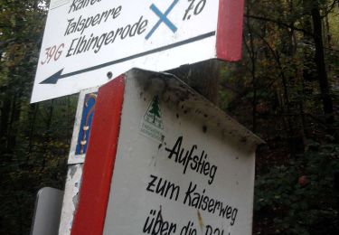 Randonnée A pied Wernigerode - DE-roter Punkt - Photo