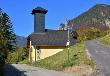 Tour Zu Fuß Gemeinde Reichenau an der Rax - Schneedörfl - Waldburgangerhütte - Photo