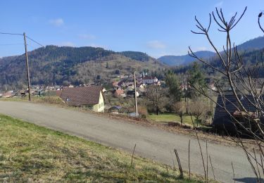 Trail Walking Urbès - Urbès HT Marel  - Photo