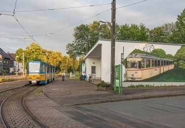 Tocht Te voet Bad Tabarz - Tabarz: Rundwanderweg 2 - Photo