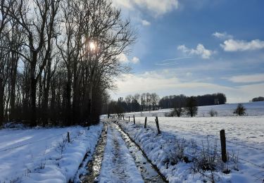 Trail Walking Tinlot - Ramelot sous la neige - Photo