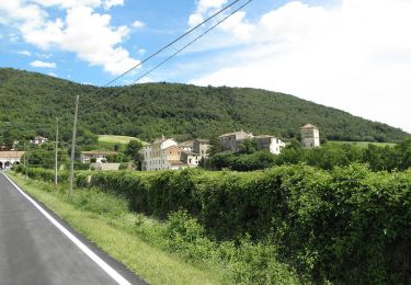 Tour Zu Fuß Val Liona - Sentiero di Campolongo - Photo