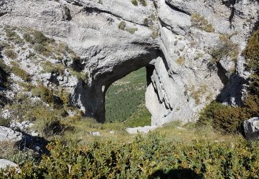 Tour Wandern Digne-les-Bains - Digne : Barre des Dourbes - Photo