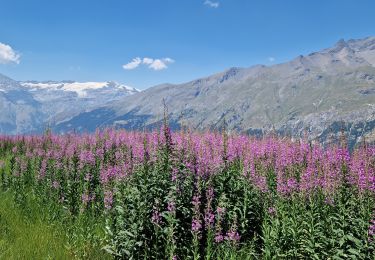 Randonnée Marche Val-Cenis - Savoie_Val-Cenis_Lac de l'Arcelle - Photo