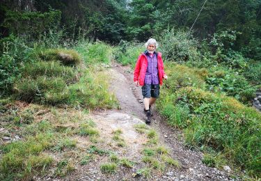 Tocht Noords wandelen Arbaz - 11.07.20 Anzère  - Photo