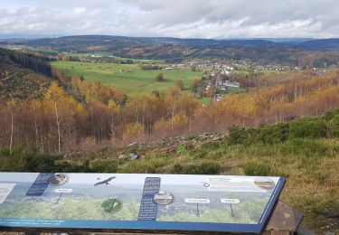 Excursión Senderismo Vielsalm - top zicht vanaf groeve - Photo