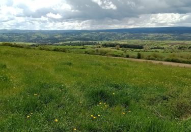 Tour Wandern Le Bouchet-Saint-Nicolas - Stenvenson Le Bouchet St Nicolas - Pradelles - Photo