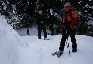 Randonnée Raquettes à neige Selonnet - Crète des melezes - Photo