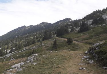 Trail Nordic walking Lans-en-Vercors - La Moucherotte - Photo