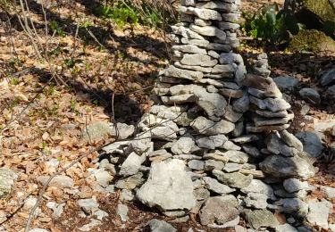 Trail Walking Saou - roche colombe - Photo