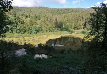 Tour Wandern Séchilienne - col de pousse bœufs 2020 - Photo