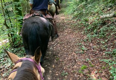 Trail Horseback riding Charency-Vezin - 2ème jour chez Juliette  - Photo