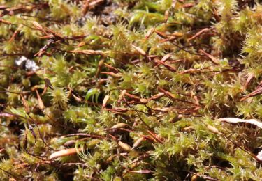 Randonnée A pied Irdning-Donnersbachtal - Wanderweg 14 - Photo