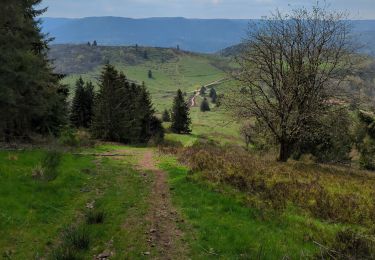 Randonnée Marche Waldersbach - col de la perheux 30.4.23 - Photo