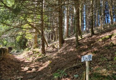 Excursión Bici de montaña La Salvetat-sur-Agout - 240829_vtt_2 - Photo