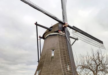 Tour Wandern Molenlanden - Les moulins de Kinderdijk (8,6km)  - Photo