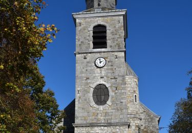 Tocht Stappen Baelen - 20211101 - TOTEMUS Membach 7.5 Km - Photo