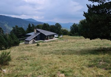 Tour Wandern Prats-de-Mollo-la-Preste - Les termes - Roca Rodona- Col de Baix- Las  Conquas-La Preste- Les termes 1 - Photo