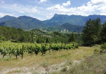 Randonnée Marche Saillans - Saillans Chplle St Christophe 14km - Photo