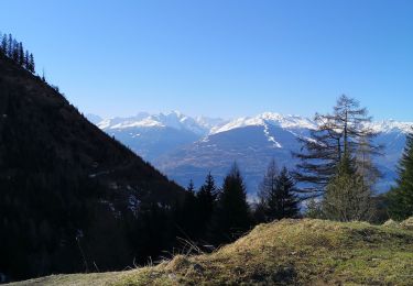 Tocht Noords wandelen Arbaz - Bitailla sionne  - Photo