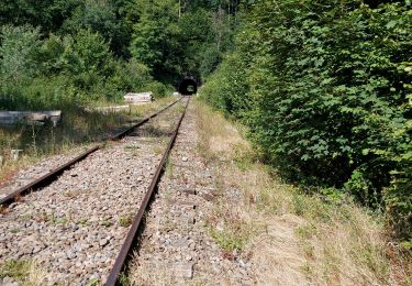 Tour Wandern Yvoir - PURNODE_ Marche Fédérale _ NA _ 17/07/2022 - Photo