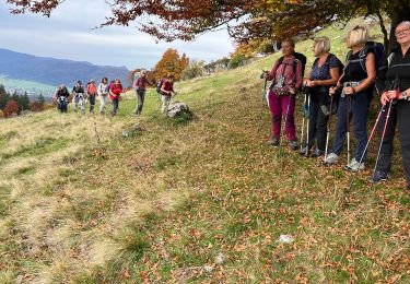 Randonnée Marche Autrans-Méaudre en Vercors - 20221013 le gouffre Berger - Photo