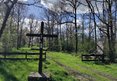 Trail Walking Houyet - Ciergnon lente 2024 - Photo