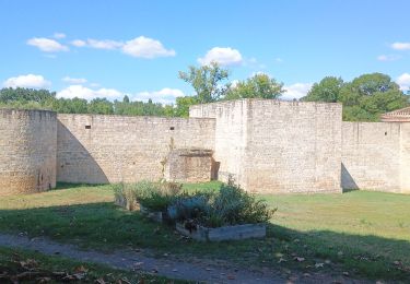 Tour Wandern Nègrepelisse - Negrepelisse  - Photo