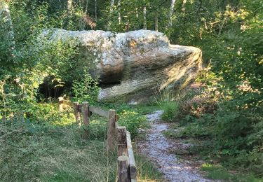 Trail Walking Coincy - la hottes du diable  - Photo