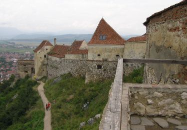 Randonnée A pied Brașov - Brașov (Solomon) - Poiana sub Padină - Râșnov - Photo