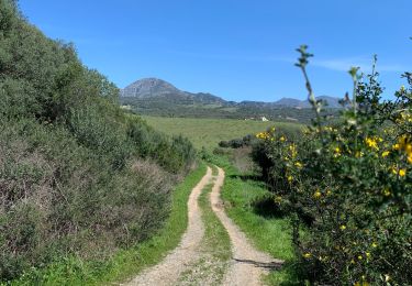 Trail Walking Casares - Cassâtes - Photo