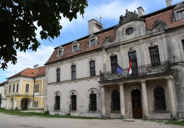 Percorso A piedi Iszkaszentgyörgy - ZT (Kastélybirtok tanösvény, Iszkaszentgyörgy) - Photo