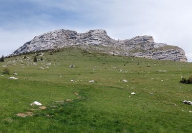 Randonnée Marche Plateau-des-Petites-Roches -  la dent de Crolles depuis le col des Ayes  par le  trou du Glas puis retour par le pas de l'Oeille - Photo