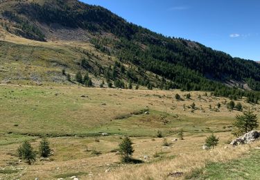 Tocht Stappen Tende - Vallée des merveilles  - Photo