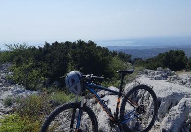 Trail Mountain bike Opoul-Périllos - mont perillou  707 m - Photo